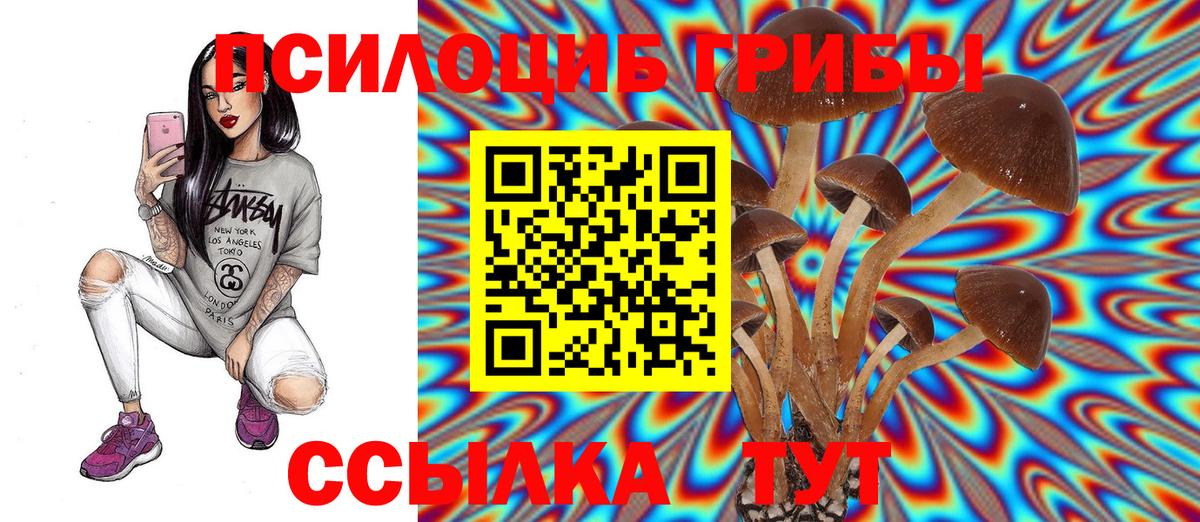 Черкесск  где найти   Псилоцибиновые грибы прущие грибы  Вход с VPN  Галлюциногенные грибы Psilocybine cubensis 