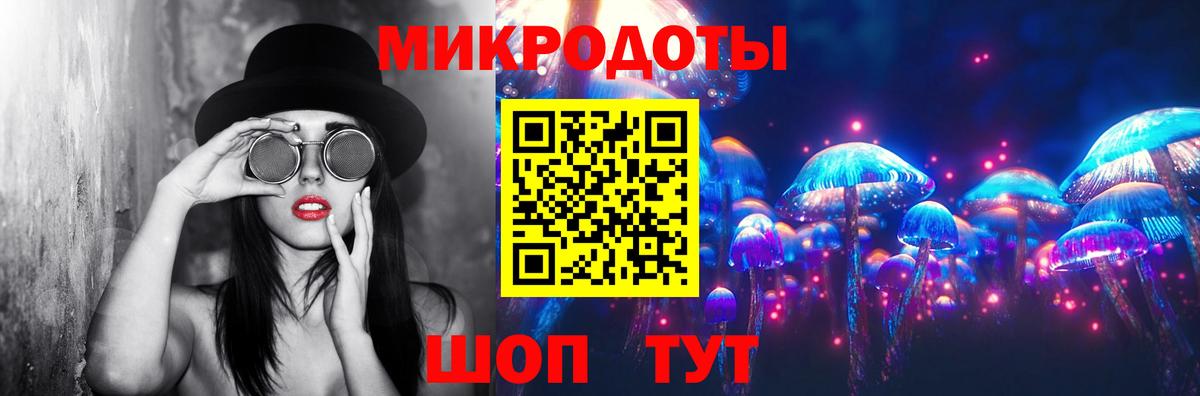 Псилоцибиновые грибы Psilocybine cubensis Черкесск